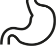 Fordøyelse